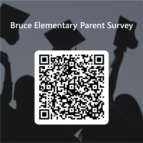 Parent input survey